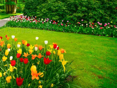 Gardens & Flowers