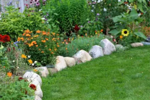 Gardens & Flowers