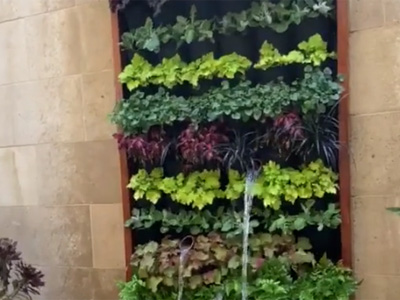 Landscape Design Ideas, Culver City, CA