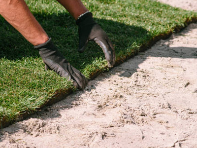 Landscapers