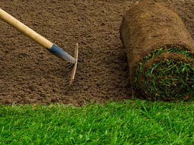 Maintain Sod & Lawns, Culver City, CA
