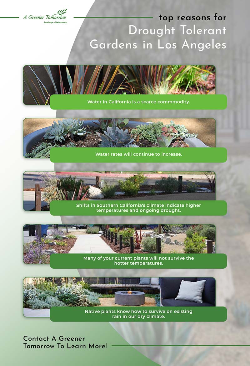 Drought Tolerant Gardens