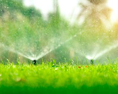 Irrigation, Westchester CA