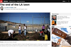 The end of the LA lawn