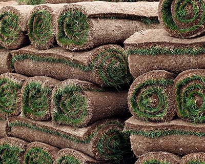 Sod & Lawn Installation, Playa Vista, CA