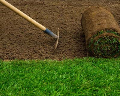 Sod & Lawn Installation, Culver City, CA