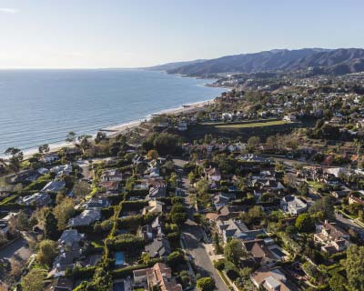 Tree Services, Culver City CA