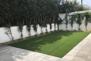 Lawn Care Los Angeles CA