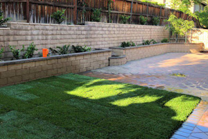 Lawn Care Playa Del Rey CA