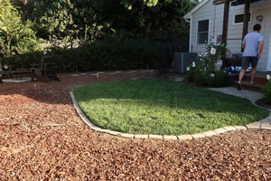 Lawn Care Sherman Oaks CA