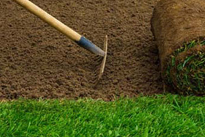 Sod & Lawn Culver City CA 