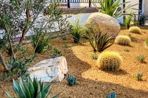 Landscape Maintenance, Marina Del Rey CA