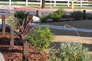 Landscaping Culver City CA 