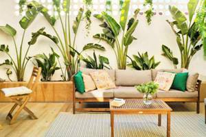 Plants & Gardens, Sherman Oaks CA